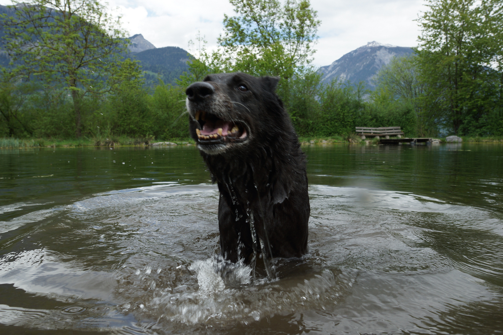 sichtung vom ungeheuer von lochness