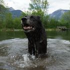 sichtung vom ungeheuer von lochness