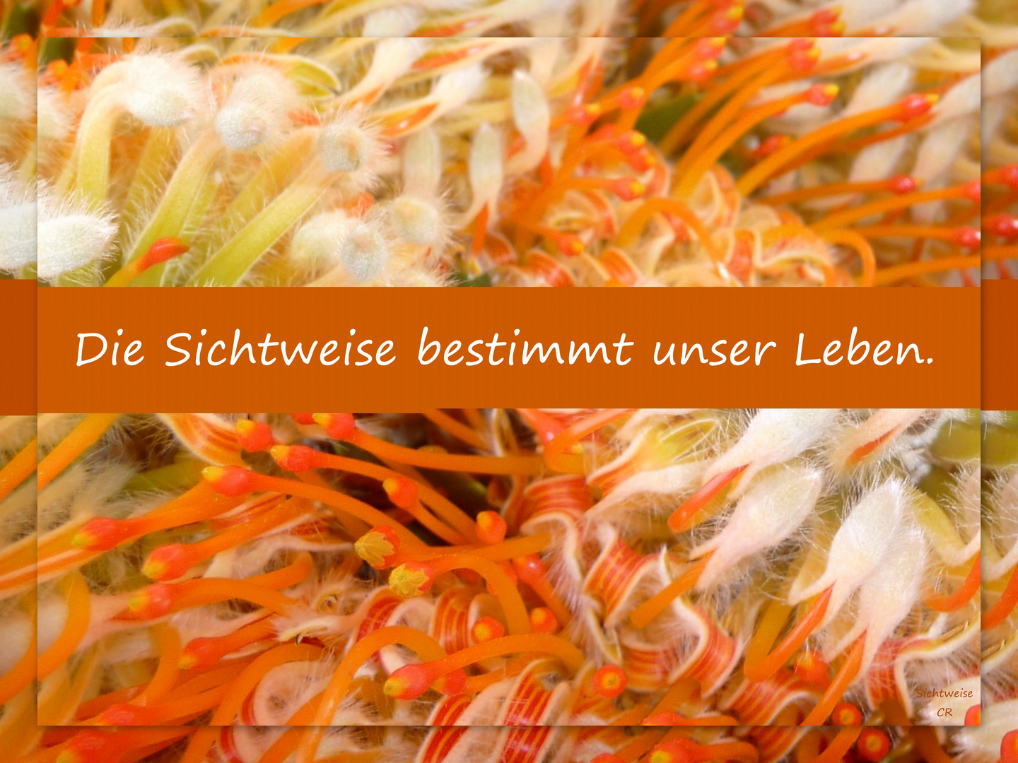 Sichtweise