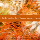 Sichtweise