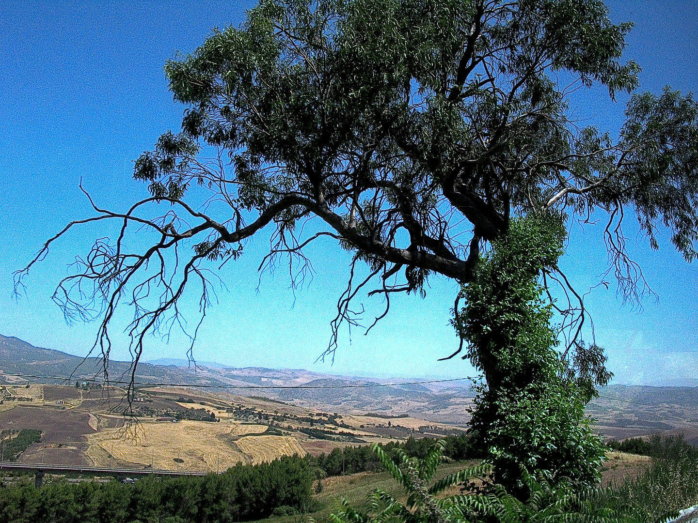 SICILIA