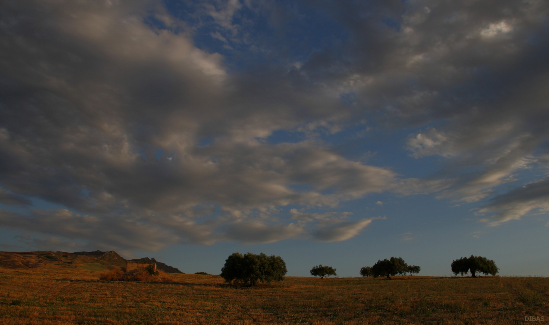 Sicilia, campi al tramonto.