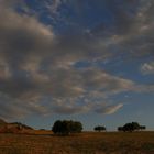 Sicilia, campi al tramonto.