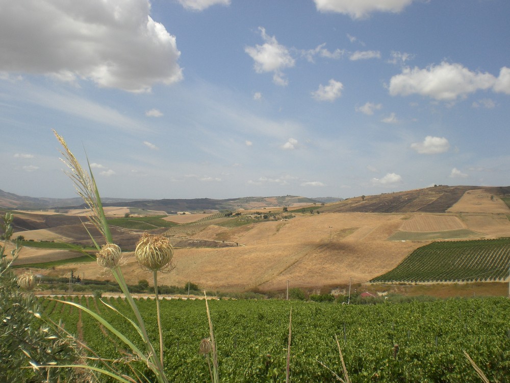 Sicilia, non solo mare