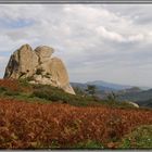 Sicilia.Altopiano di Argimusco.I megaliti (?)