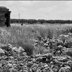 Sicilian landscape in the summer