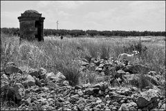 Sicilian landscape in the summer