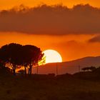 sicilian sunset