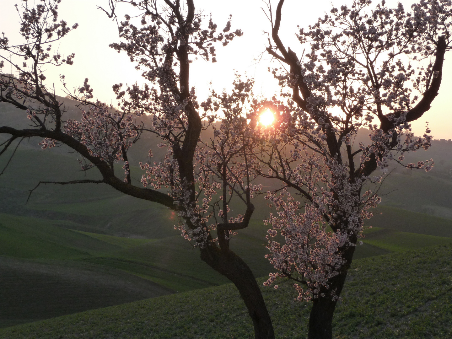 SICILY