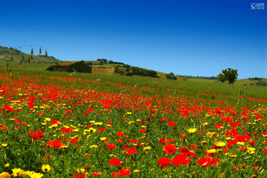 Sicily landscape