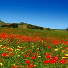 Sicily landscape