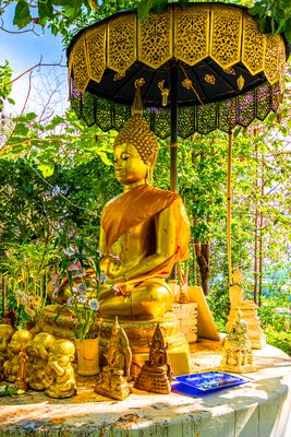 Siddhartha Sakyamuni