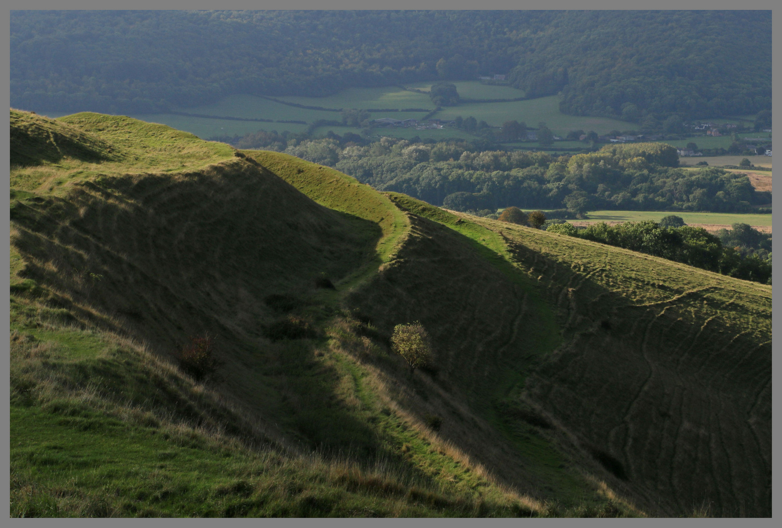 side of hambledon hill prehistoric hillfort Dorset 6A