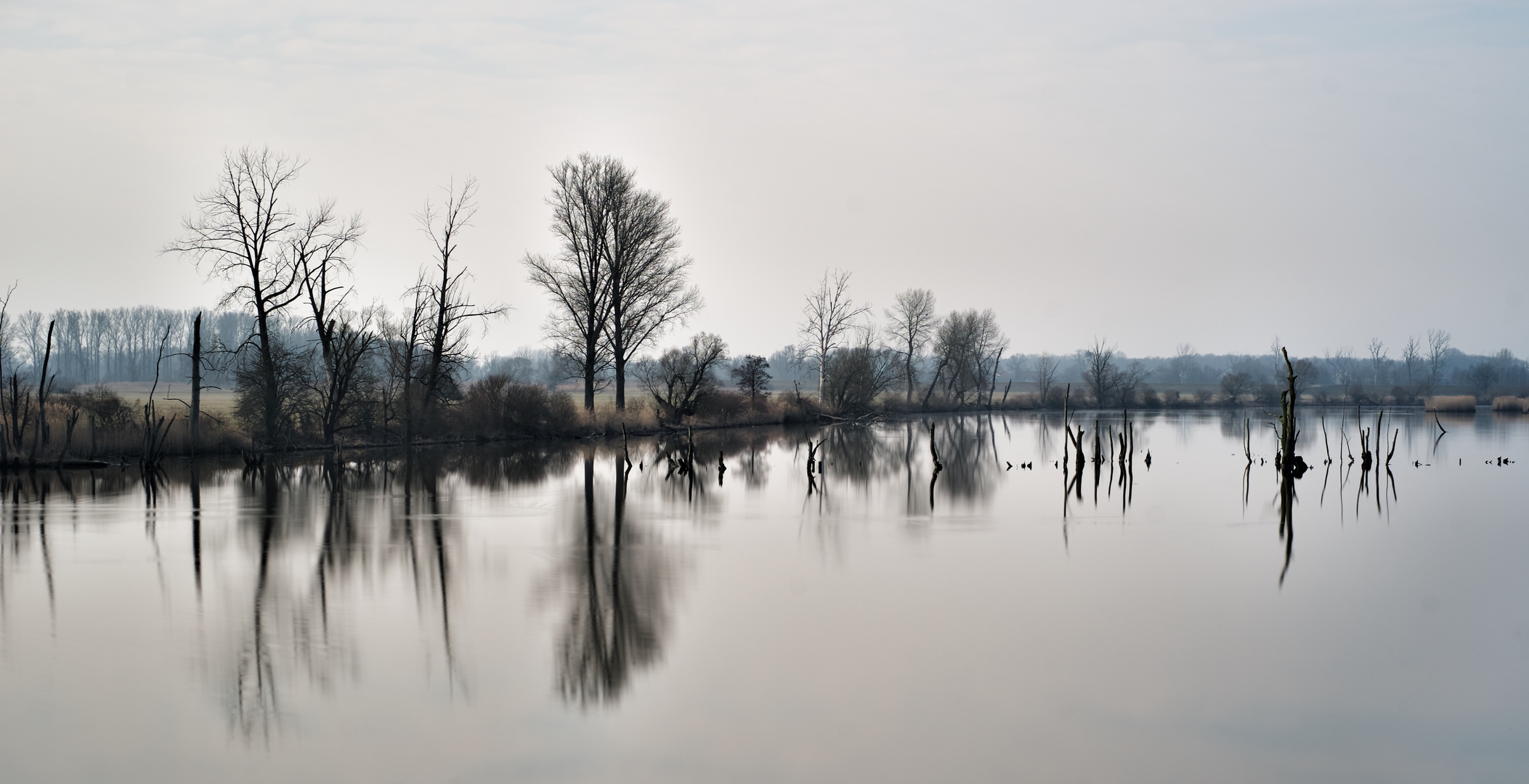 Sidearm of the river Danub