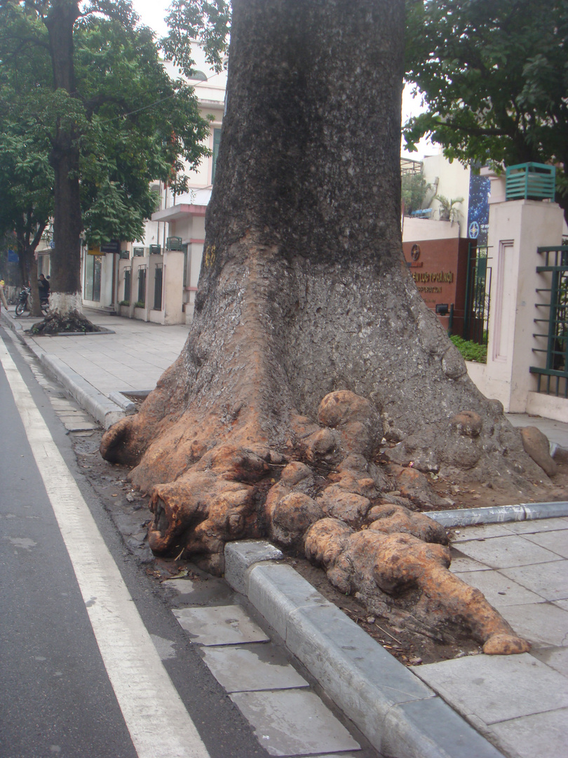 sidewalk in Hanoi