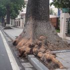 sidewalk in Hanoi