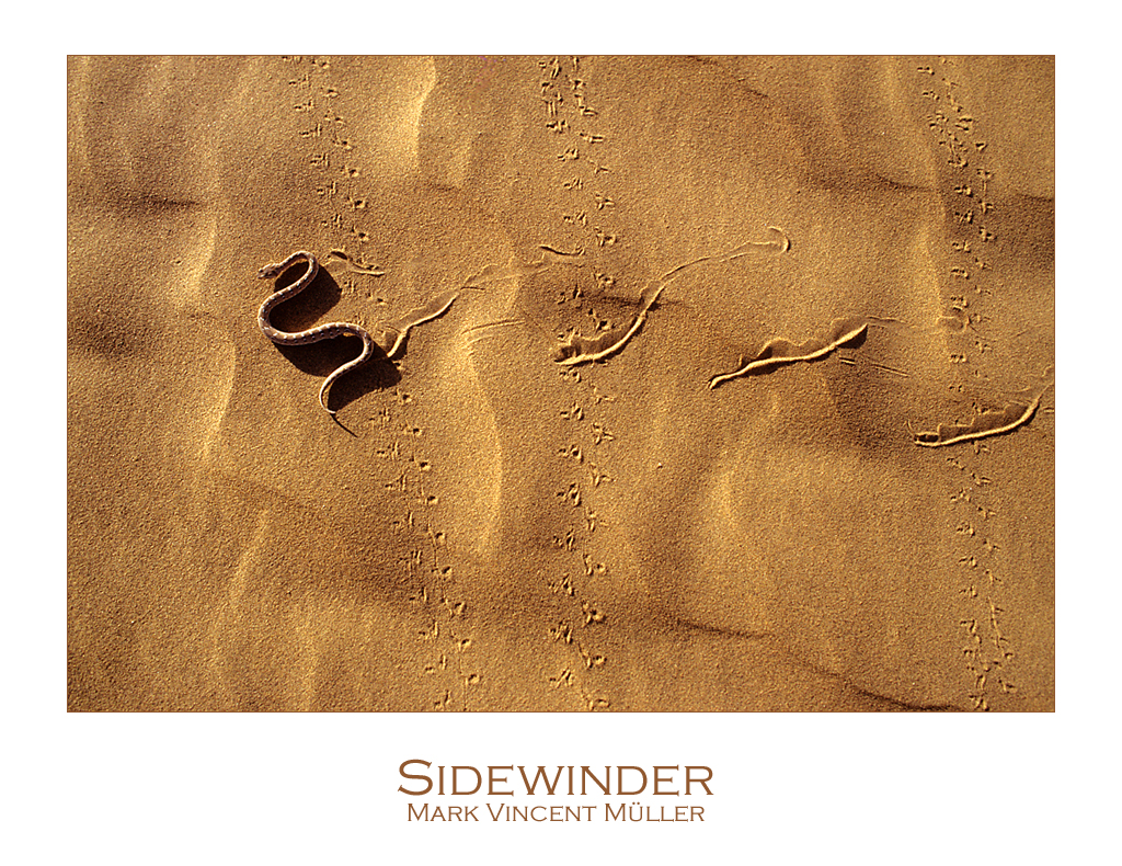 Sidewinder