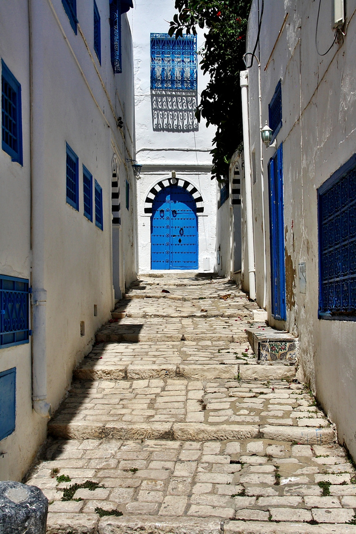 ~ Sidi Bou Saïd ~