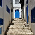 ~ Sidi Bou Saïd ~