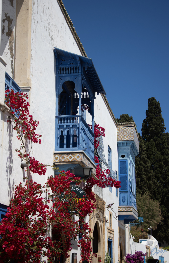 Sidi Bou Saïd