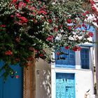 ~~ Sidi Bou Saïd ~~