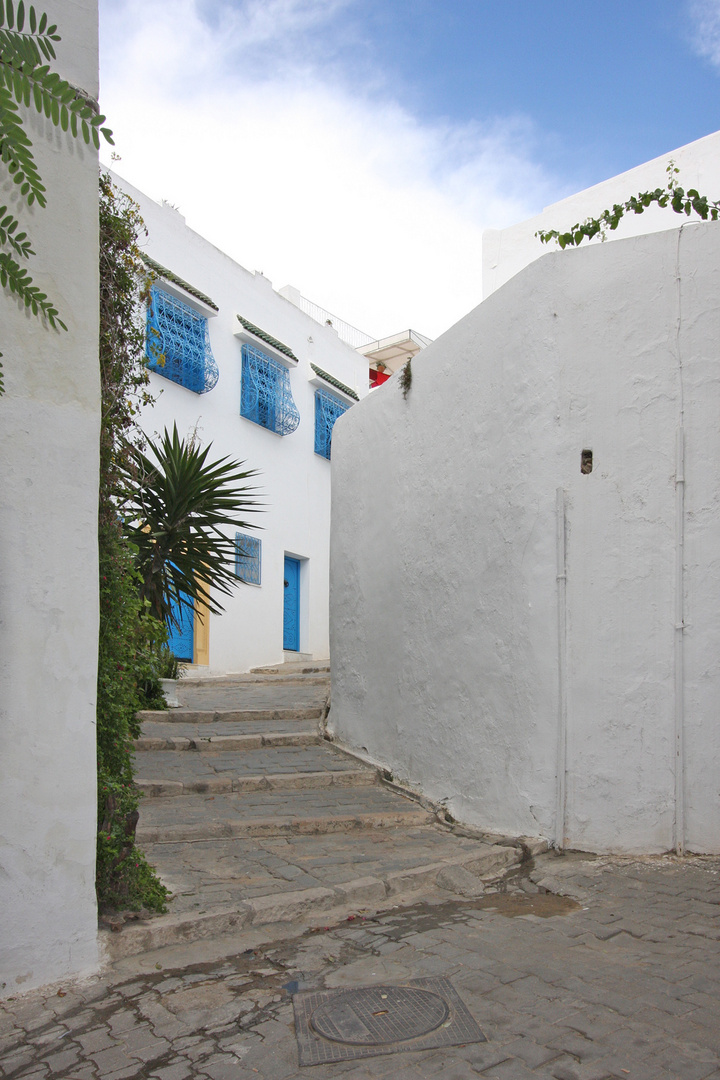 Sidi Bou Said (1)