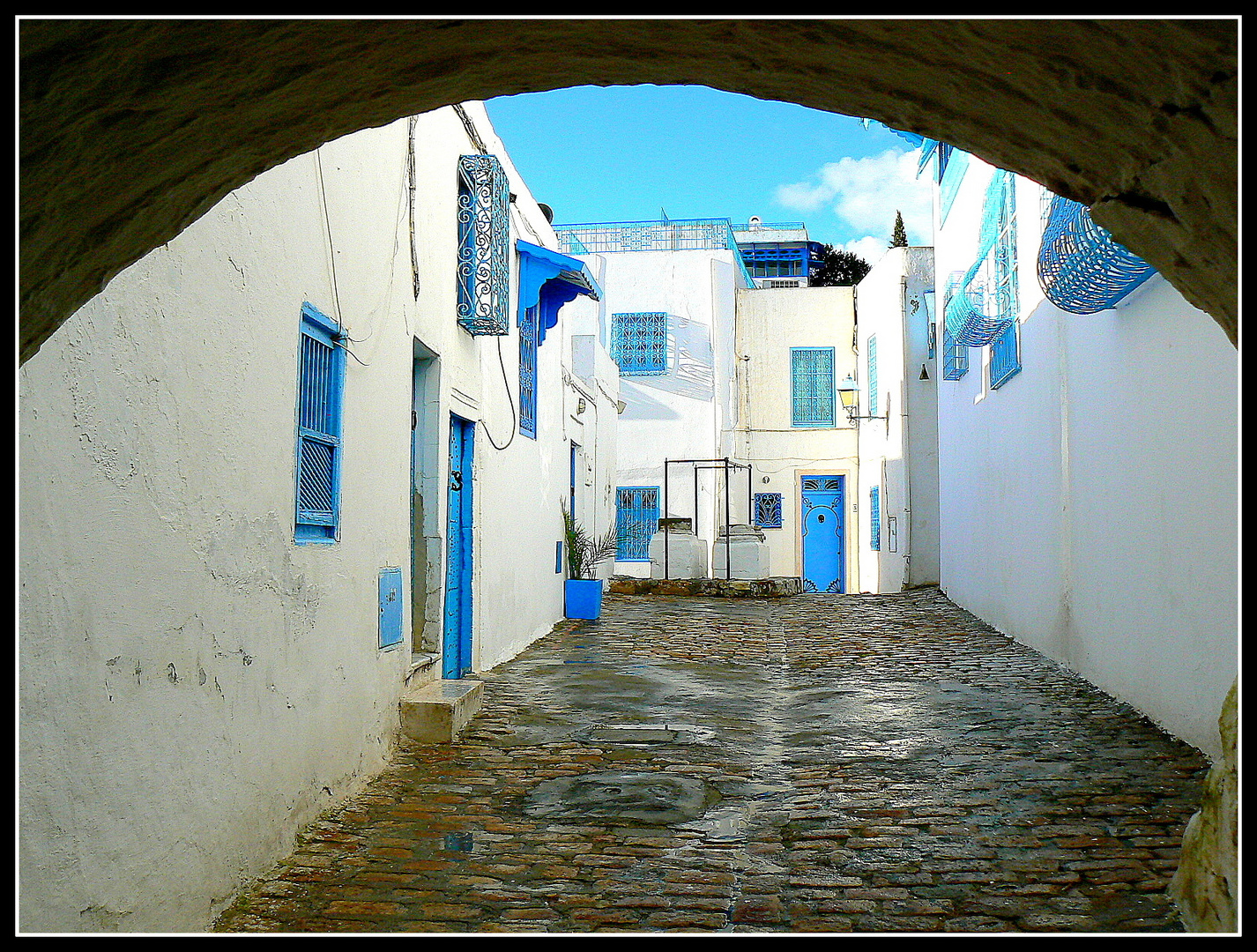 SIDI - BOU - SAID ' - 11 -