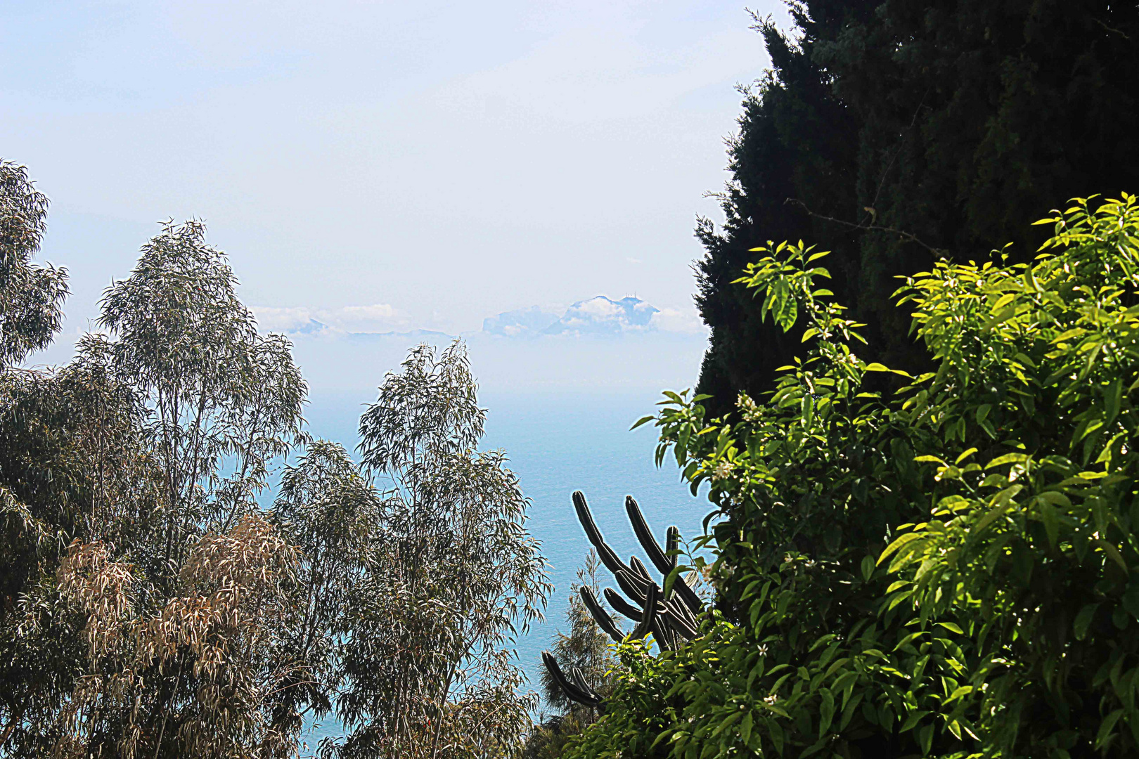 SIDI BOU SAID