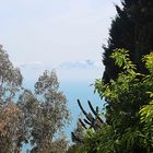 SIDI BOU SAID