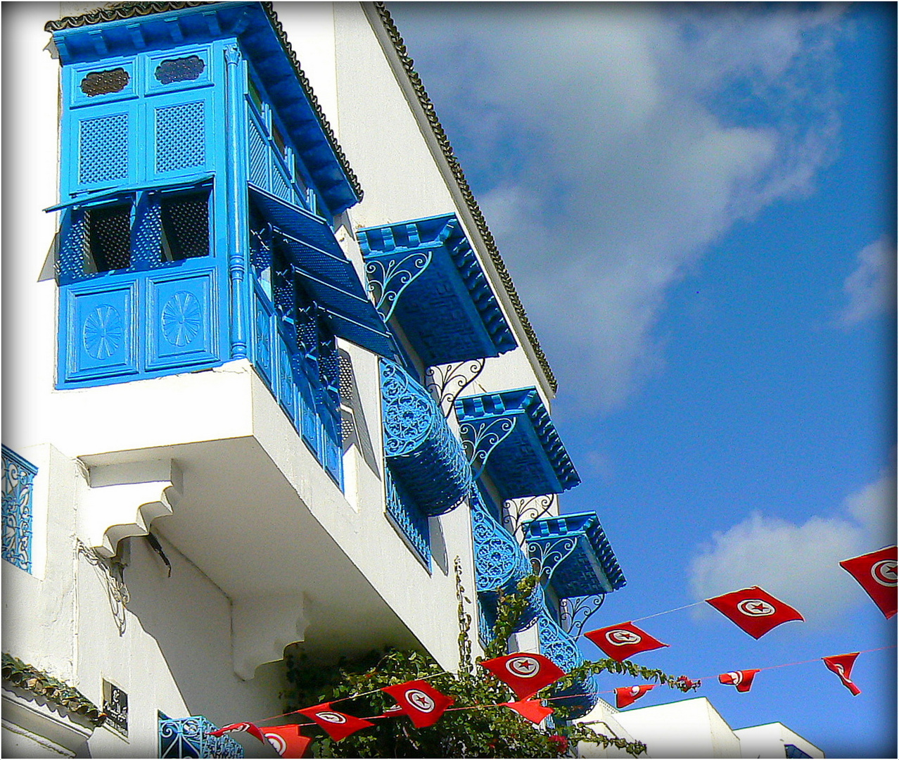 SIDI - BOU - SAID -3 -