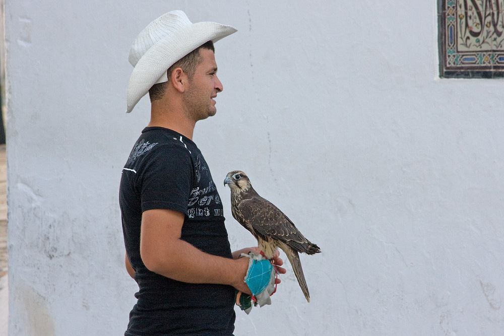 Sidi Bou Said (6), Falkner