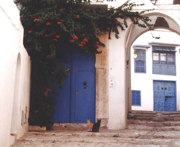 Sidi Bou Said