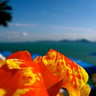 Sidi Bou Said