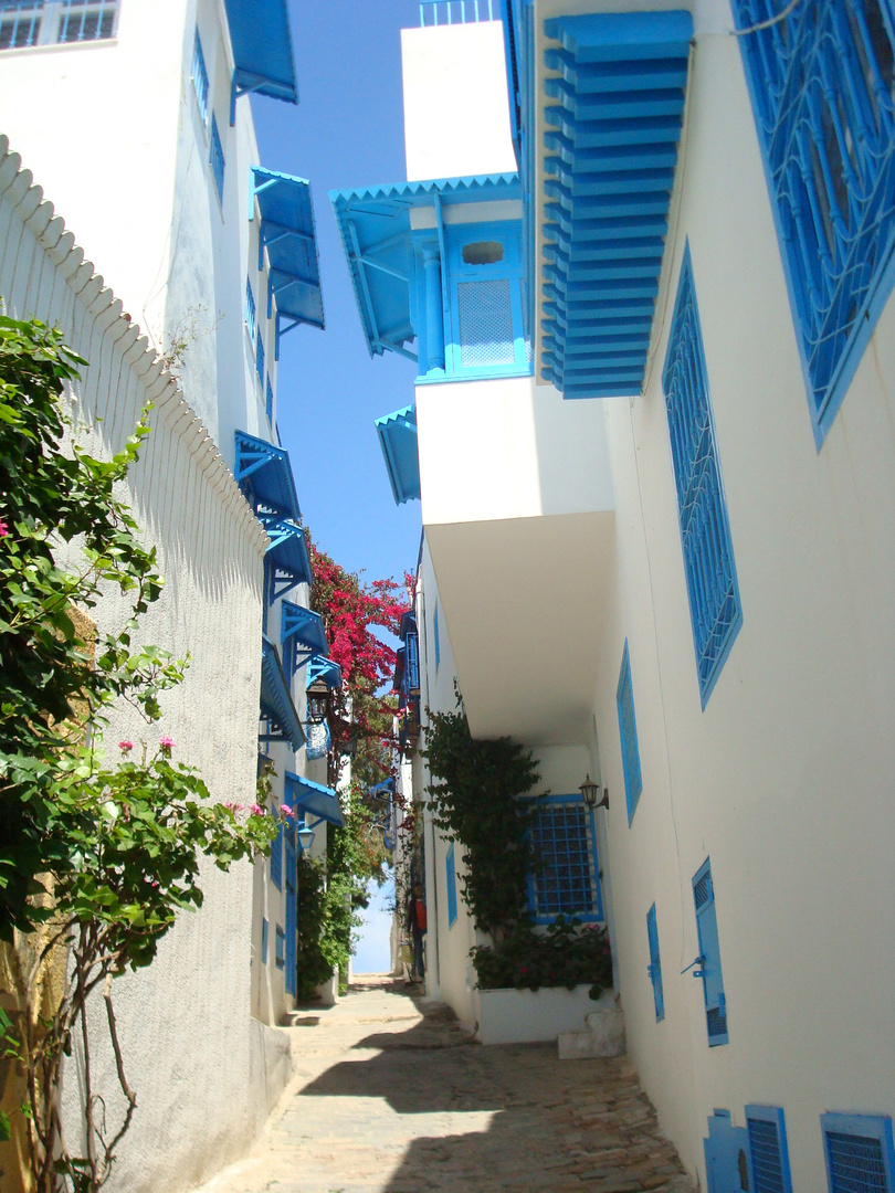 Sidi Bou Said