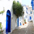 Sidi Bou Said IV