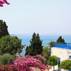 Sidi Bou Said V