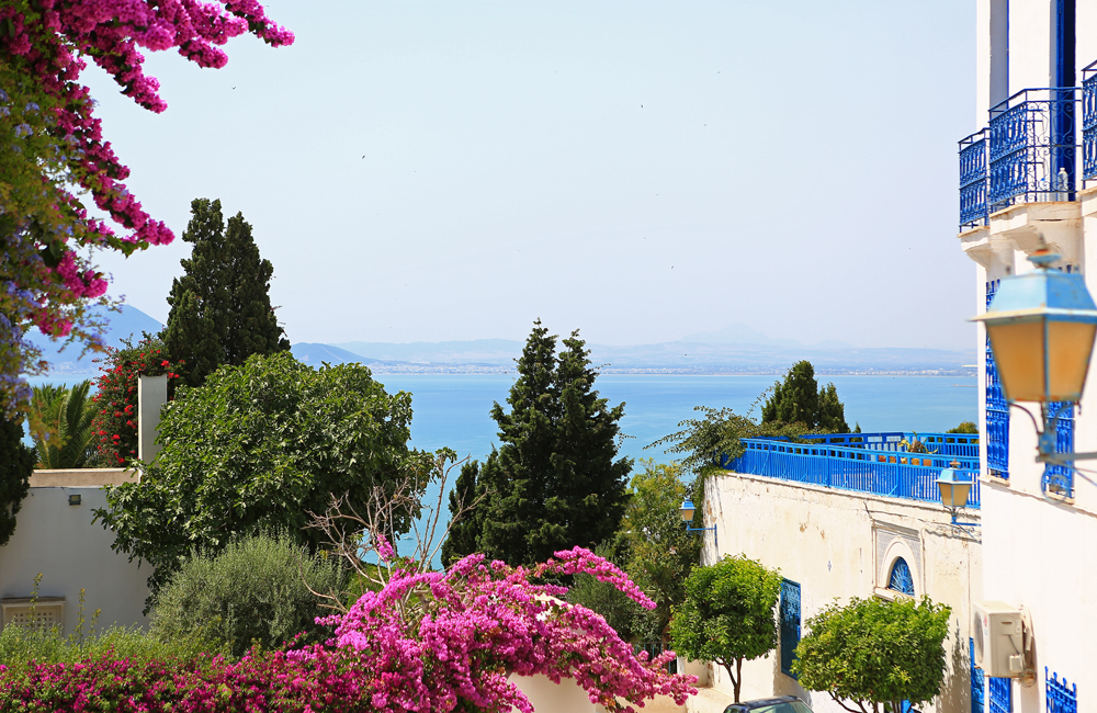 Sidi Bou Said V