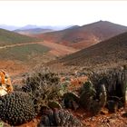 Sidi Ifni - Paysage de l’intérieur du pays – Landschaft im Landesinnere