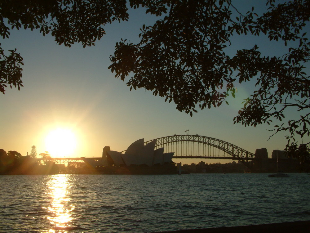 Sidney at Sunset