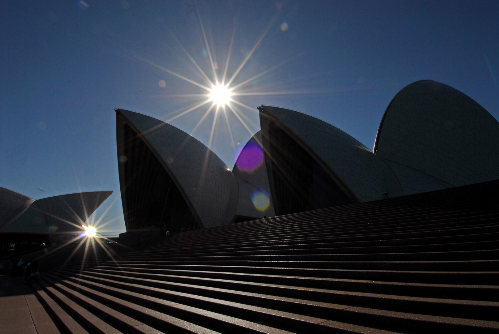 Sidney the opera bei Sunset