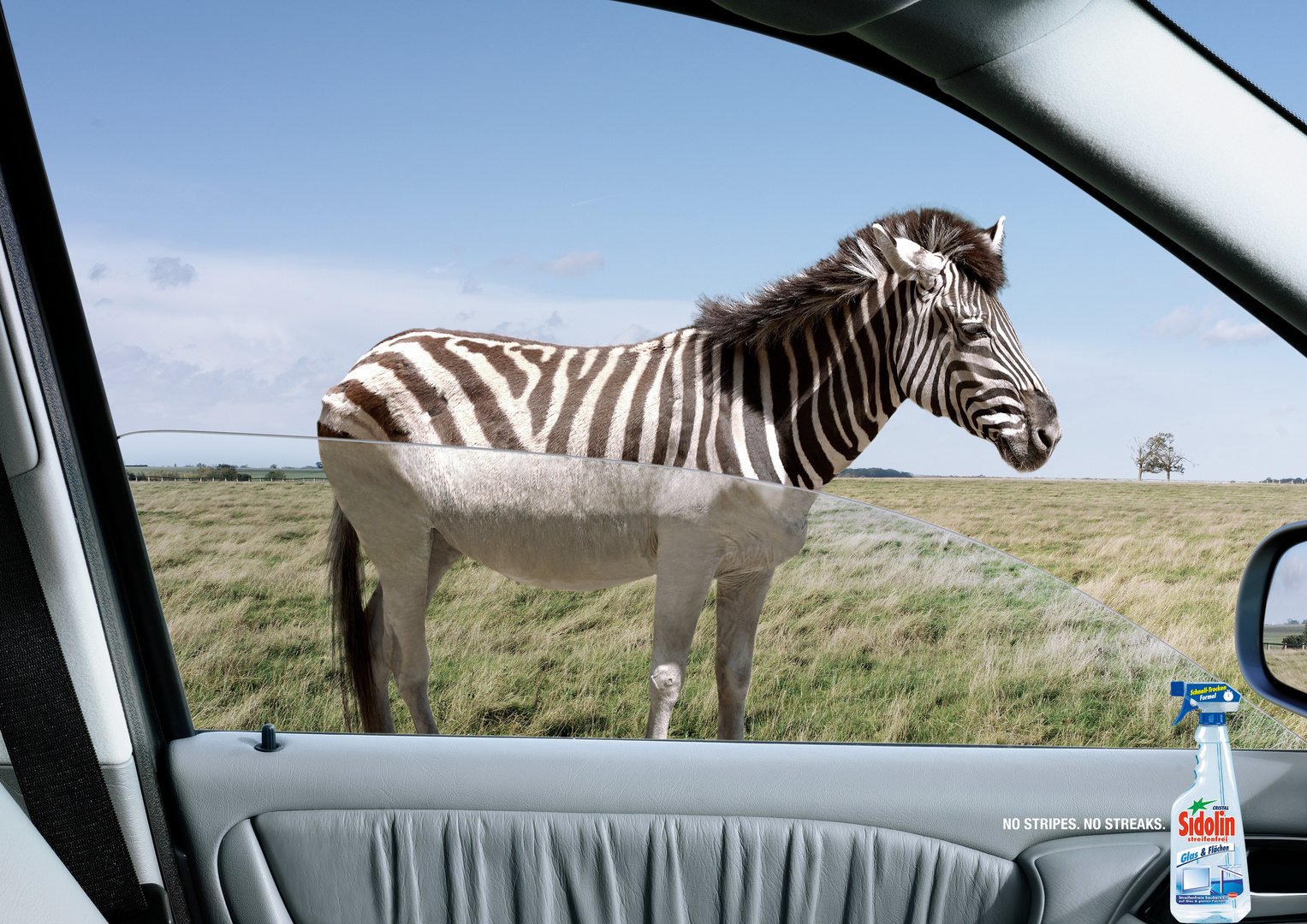 Sidolin Zebra No Stripes No Streaks