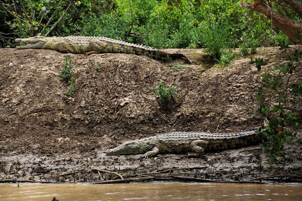 Sie brauchen ihre Ruhezeiten