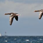 Sie brauchen keinen Leuchtturm