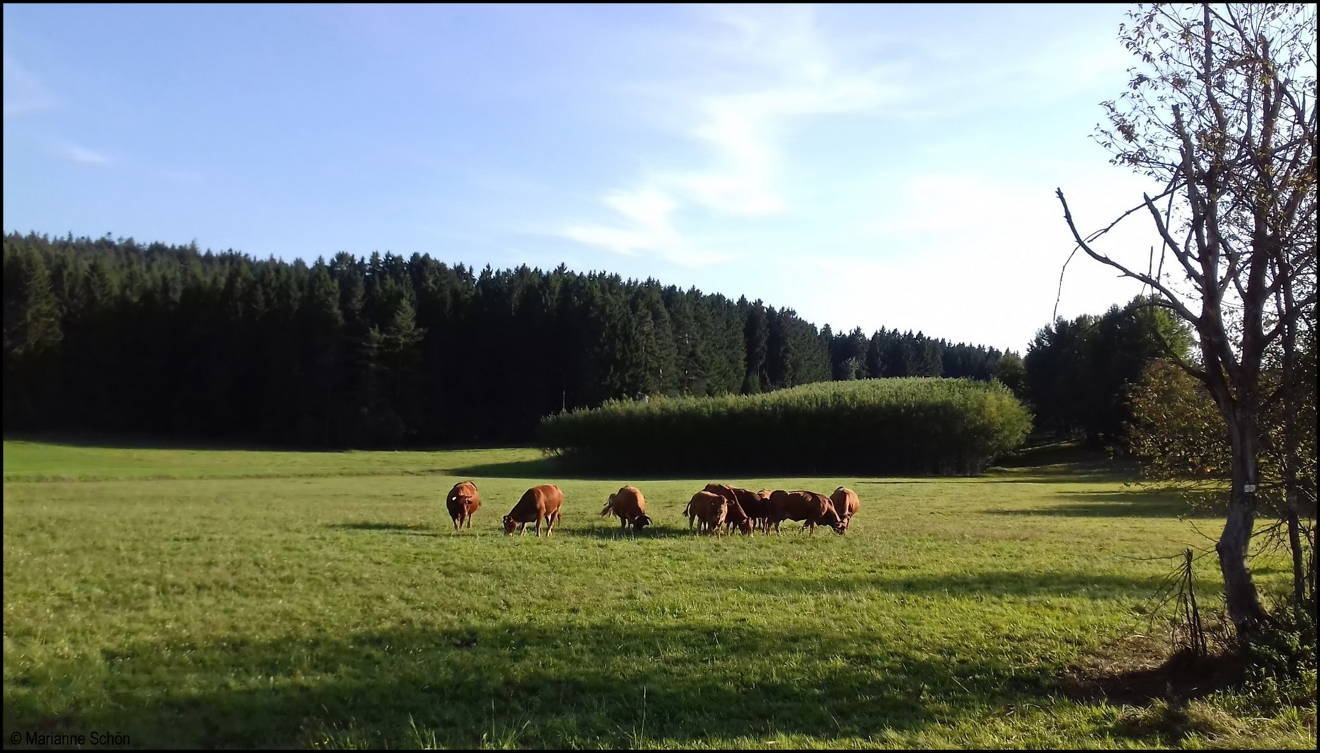 Sie dürfen draußen sein...