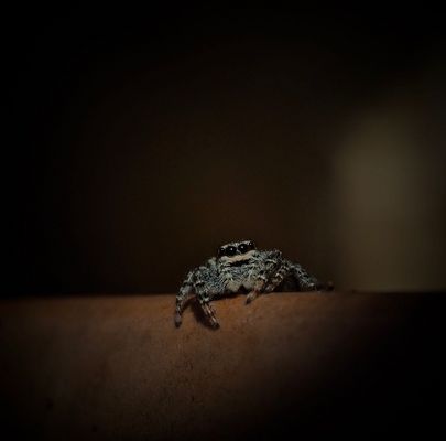 Sie durfte mal länger aufbleiben...