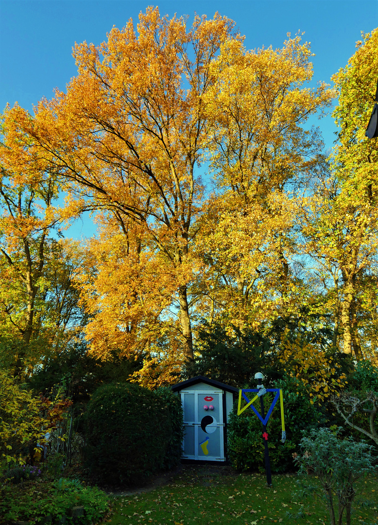  SIE + ER im Herbstwald