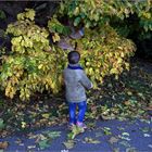 sie erkunden den Herbst....