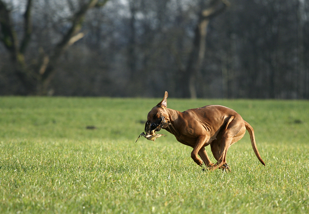 Sie findet immer was zum Toben,