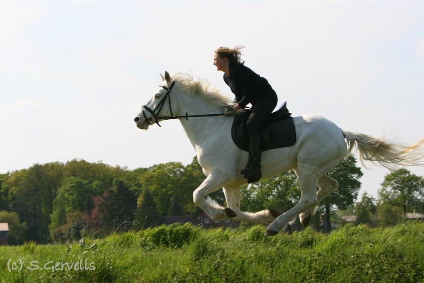 Sie Fliegen