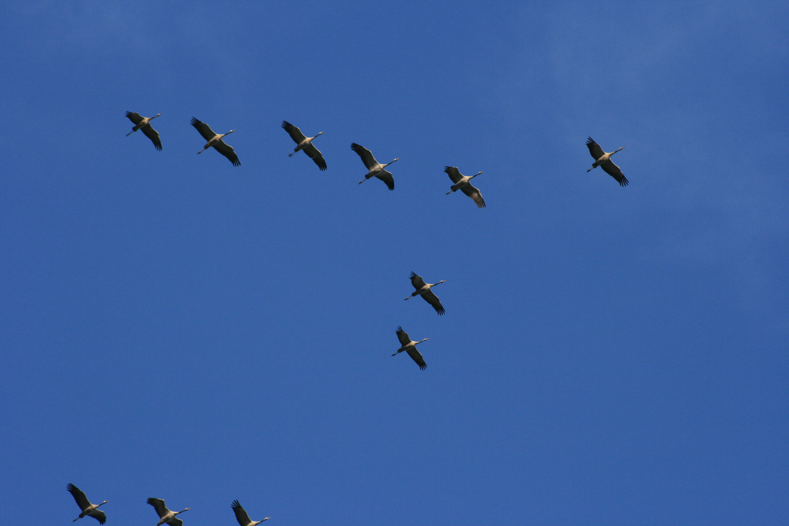 Sie fliegen wie eine Eins